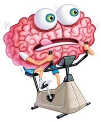 cerebro en ejercicio